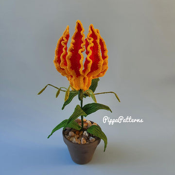Flame Lily