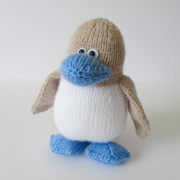 Blue Footed Booby Bird