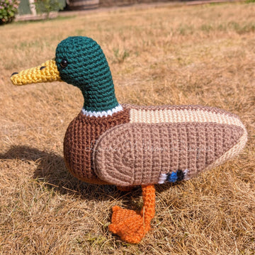 Marvin the mallard
