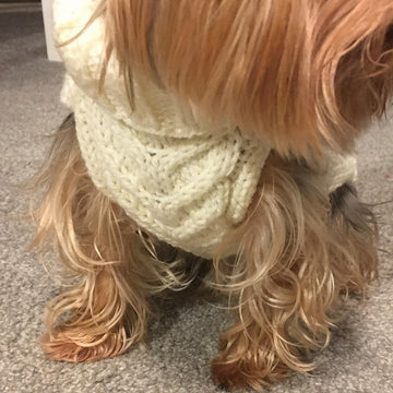 Aran Dog Sweater