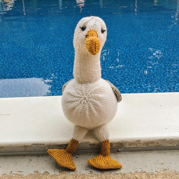 Albatross