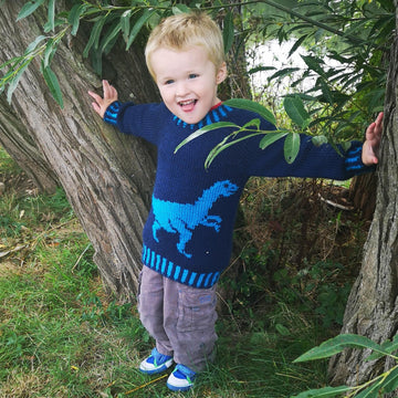 Velociraptor Dinosaur Sweater