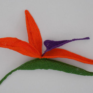Strelitzia (Bird of Paradise)