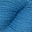 Blue Moon (1013)