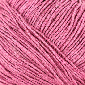 Carnation Pink (62)