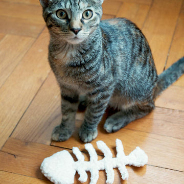 Snuggle Fishbone Halloween Decor & Cat Toy