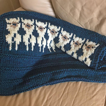 Alpacas on a Blanket
