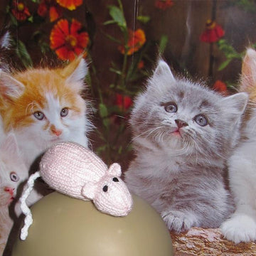 Sugar Mouse Cat Toy