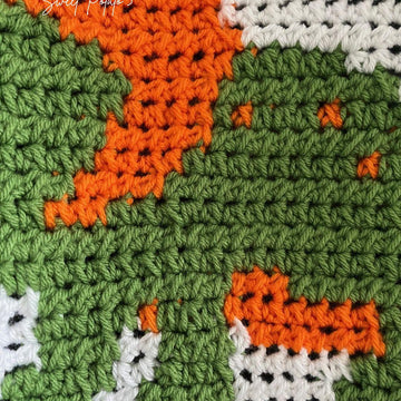 Dinosaur Baby Blanket