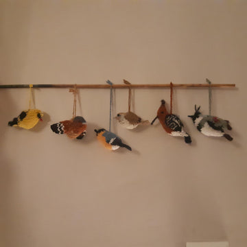 Band of birds