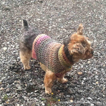 Simple Small Dog Sweater
