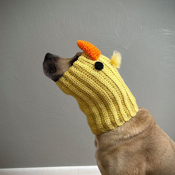 Duck Dog Snood