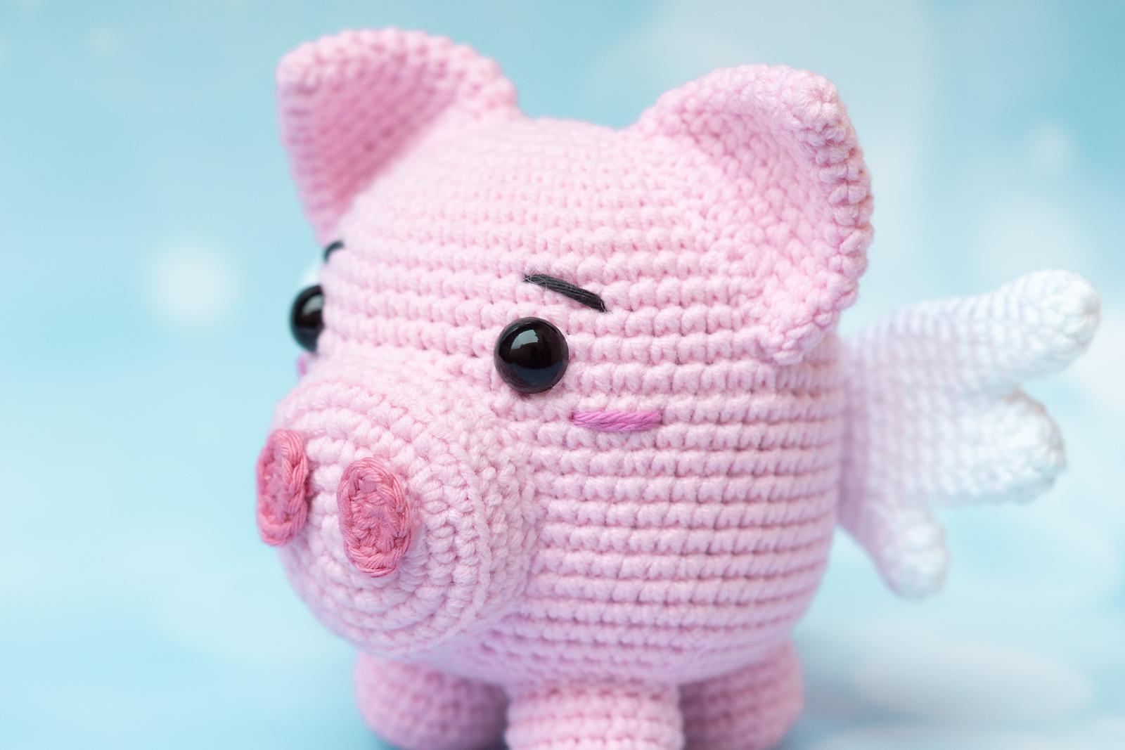 Flying pig