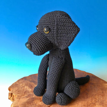Labrador sitzend