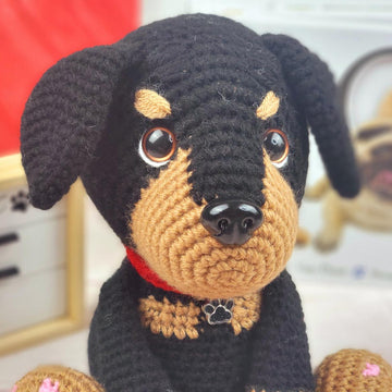 Rambo the Rottweiler