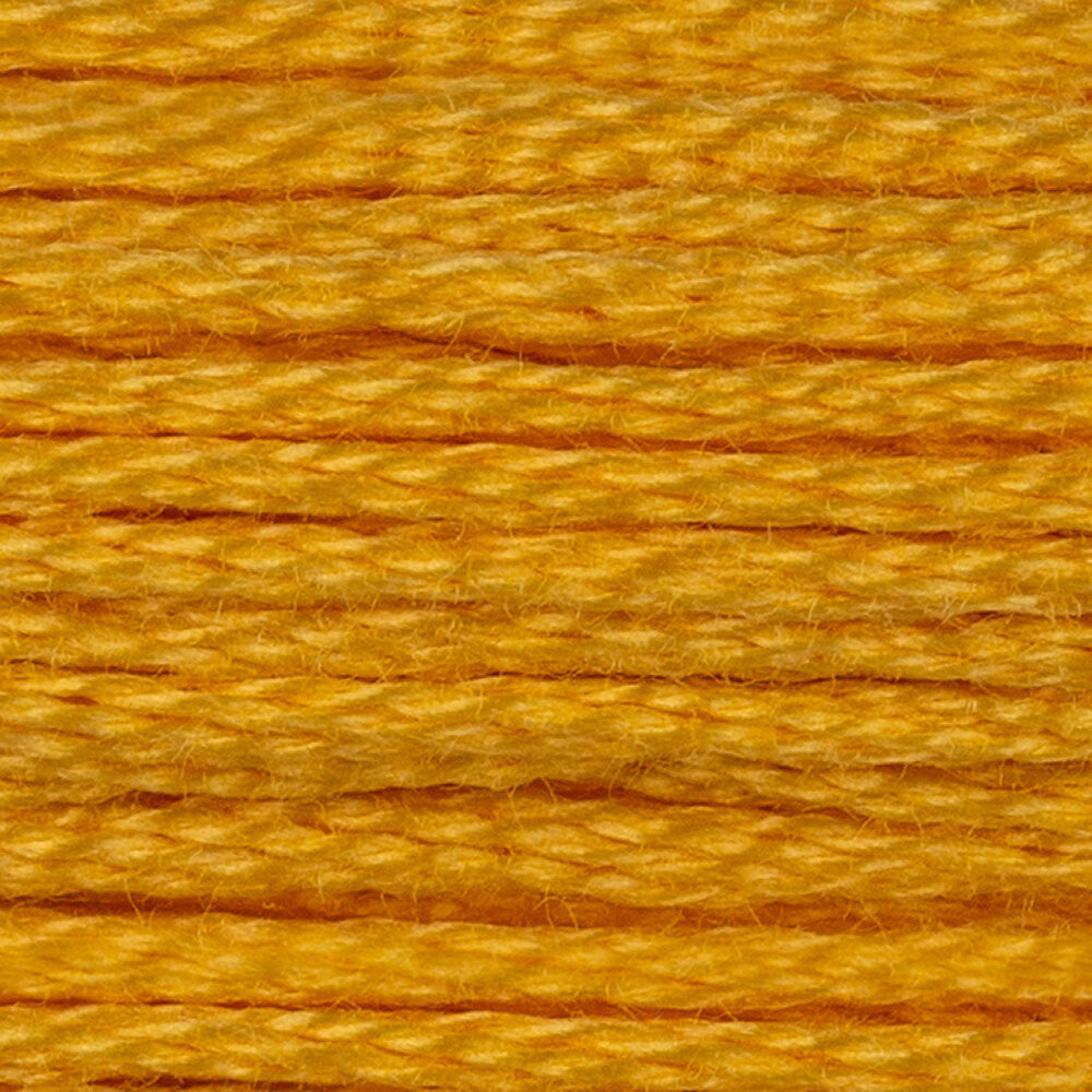DMC Stranded Cotton - Warm Shades