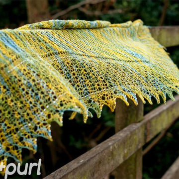 Libelula shawl