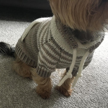 Oatmeal Sweater with Kangaroo Pocket for Dogs