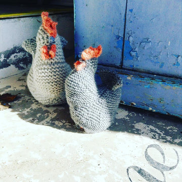 Plucky hen