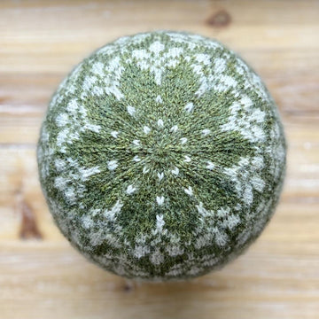 Hello Autumn! Hat