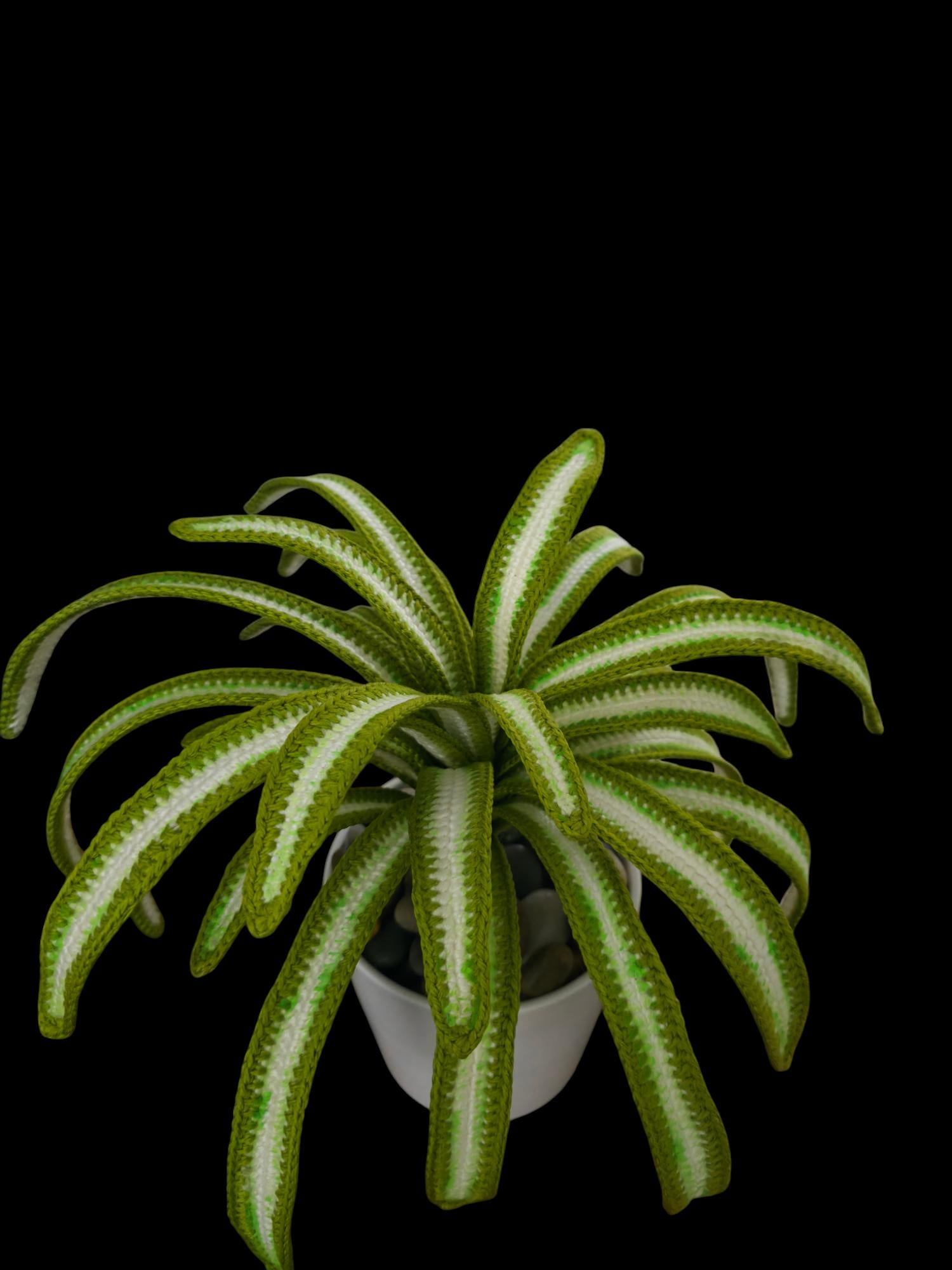 Crochet Spider plant pattern