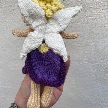 Iris February flower fairy