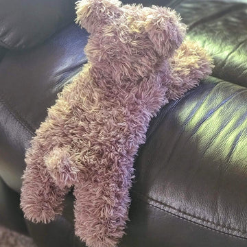 Hang in There Bear