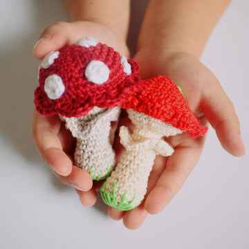 Fairy Tale Mushroom
