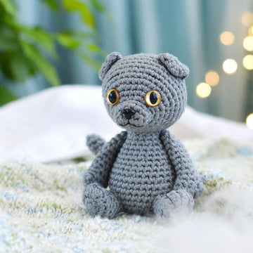 Scottish Fold cat