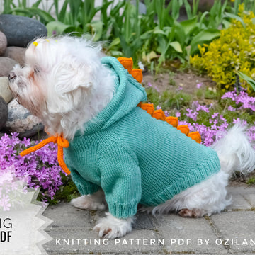 Dragon dog hoodie