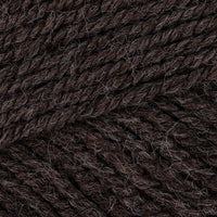 Racoon (6001)