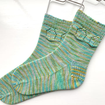Birdhouse Socks
