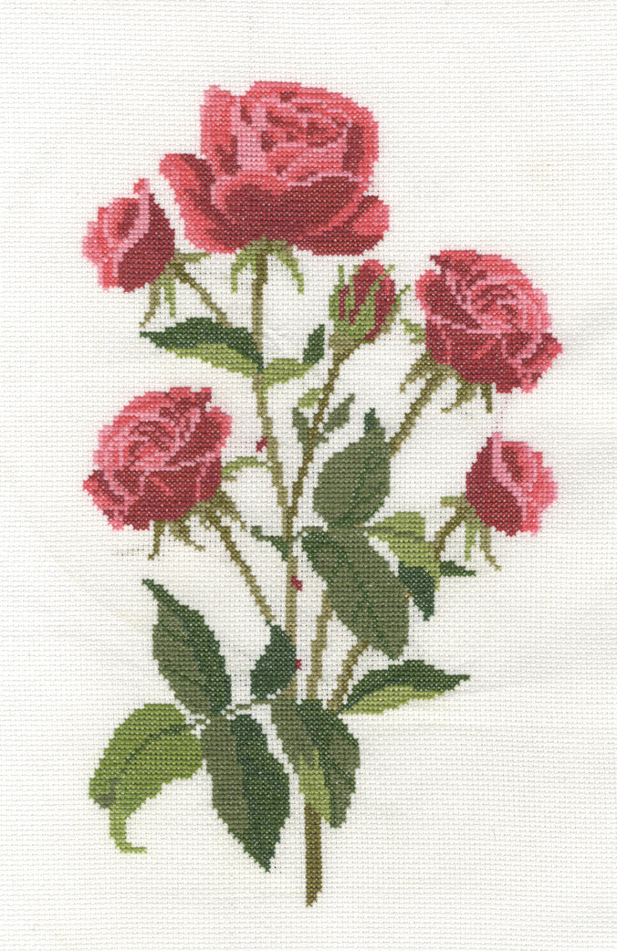 DMC Roses Cross Stitch Kit - 7x14in
