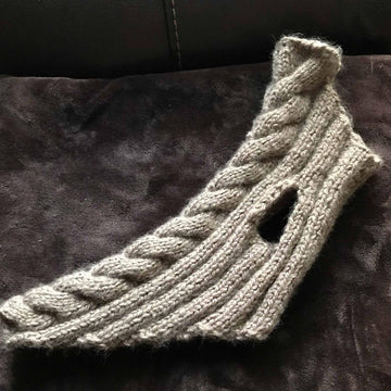 Dog Fancy Braid Vest