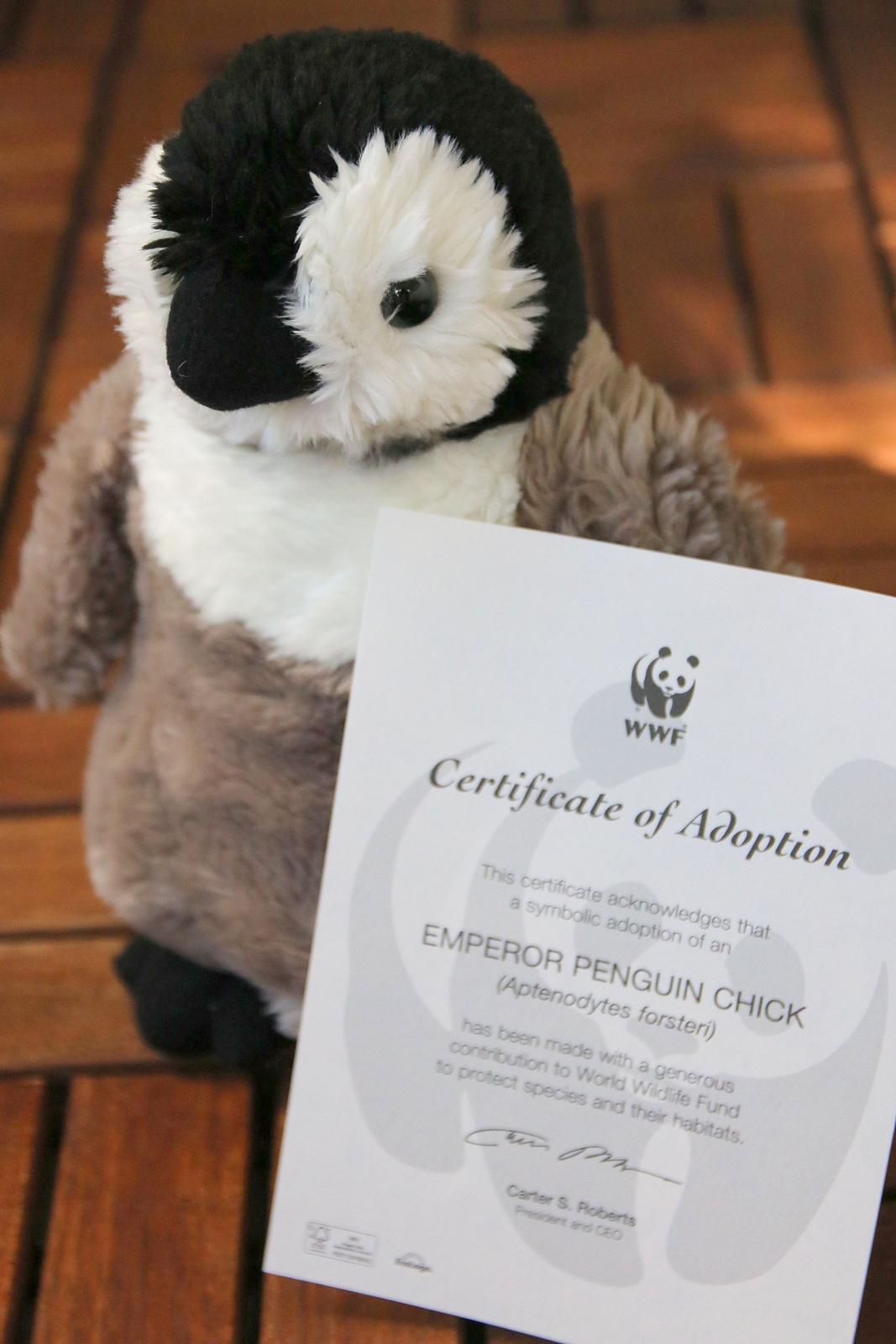 Patty the Penguin