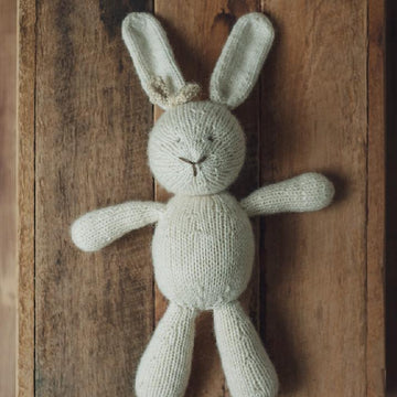 Briar Bunny