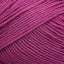 Fuchsia (0036)