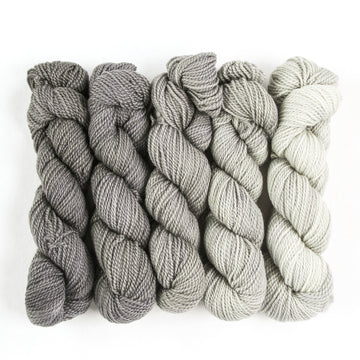 Wonderland Yarns Cheshire Cat 5-Skein Pack