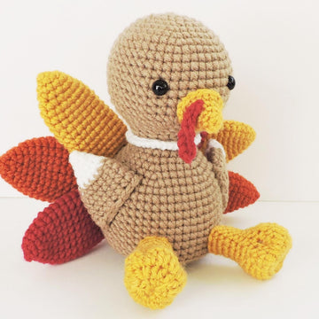 Thanksgiving Turkey