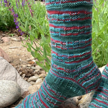 Aquarian Socks