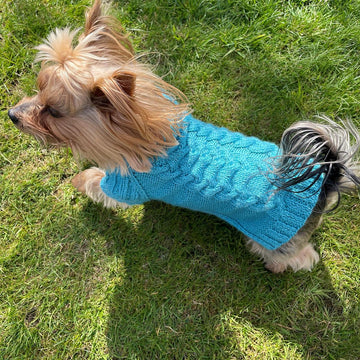 Aqua Dog or Cat Sweater