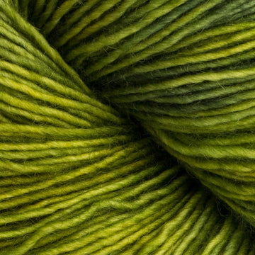 Dream in Color Jilly