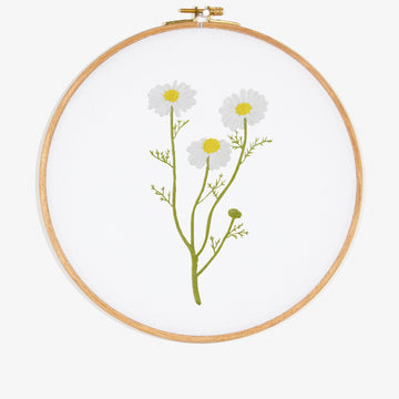 Camomile in DMC - PAT0321 - Downloadable PDF