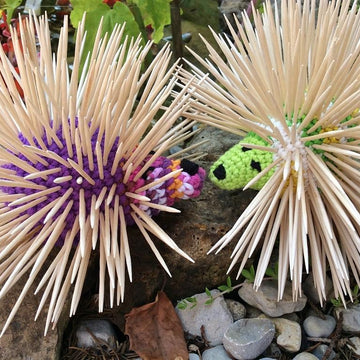 Petunia Porcupine Toothpick Holder
