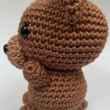 Teddy Bear Friend