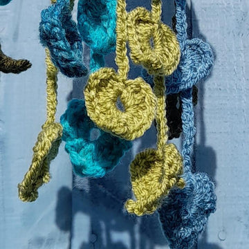 Trail of hearts hanging plant