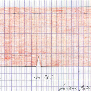 Zia L