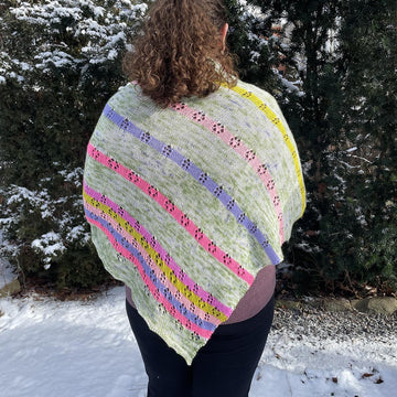 Libellule Shawl