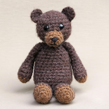 Teddy the bear