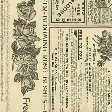American Crafts BoBunny A2 Cards W/Envelopes (4.375"X5.75") 40/Box - Botanical Journal